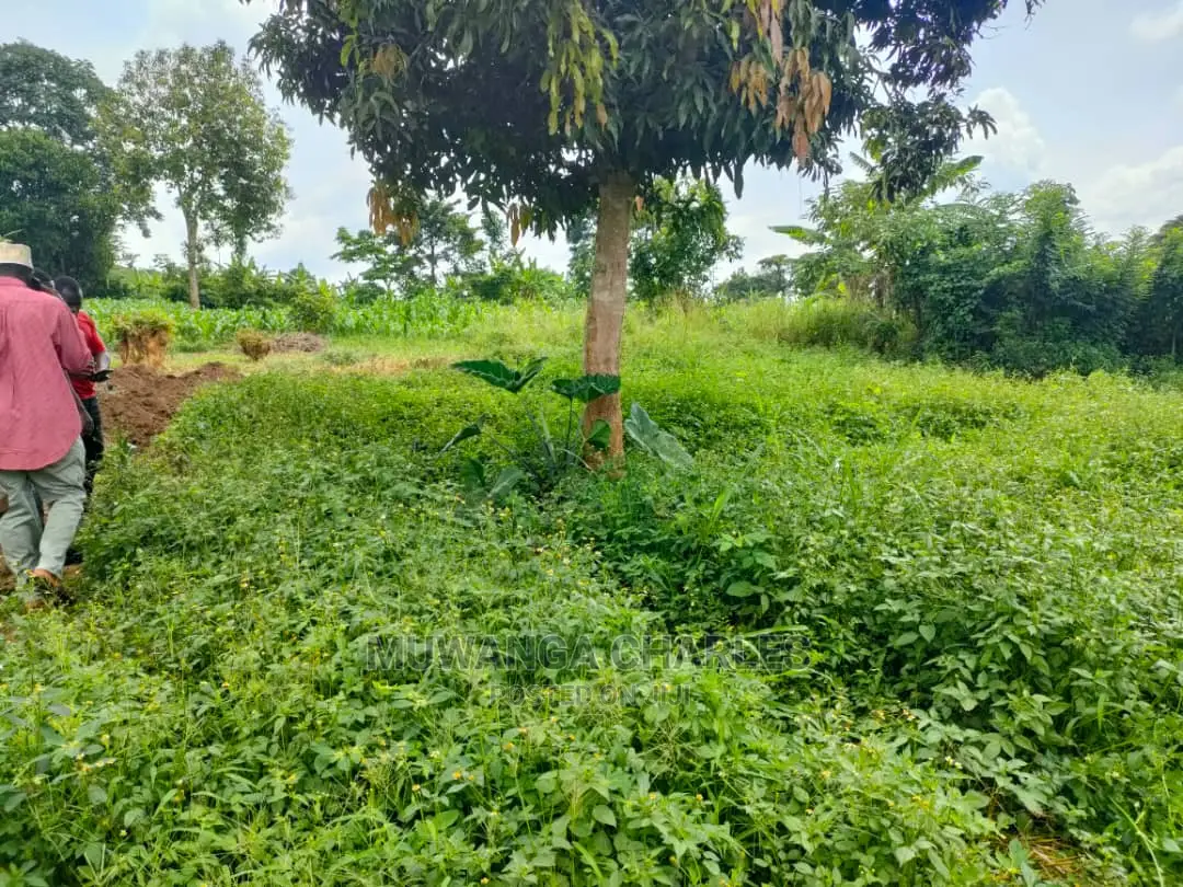 Land for Sale at Zirobwe in Central Division