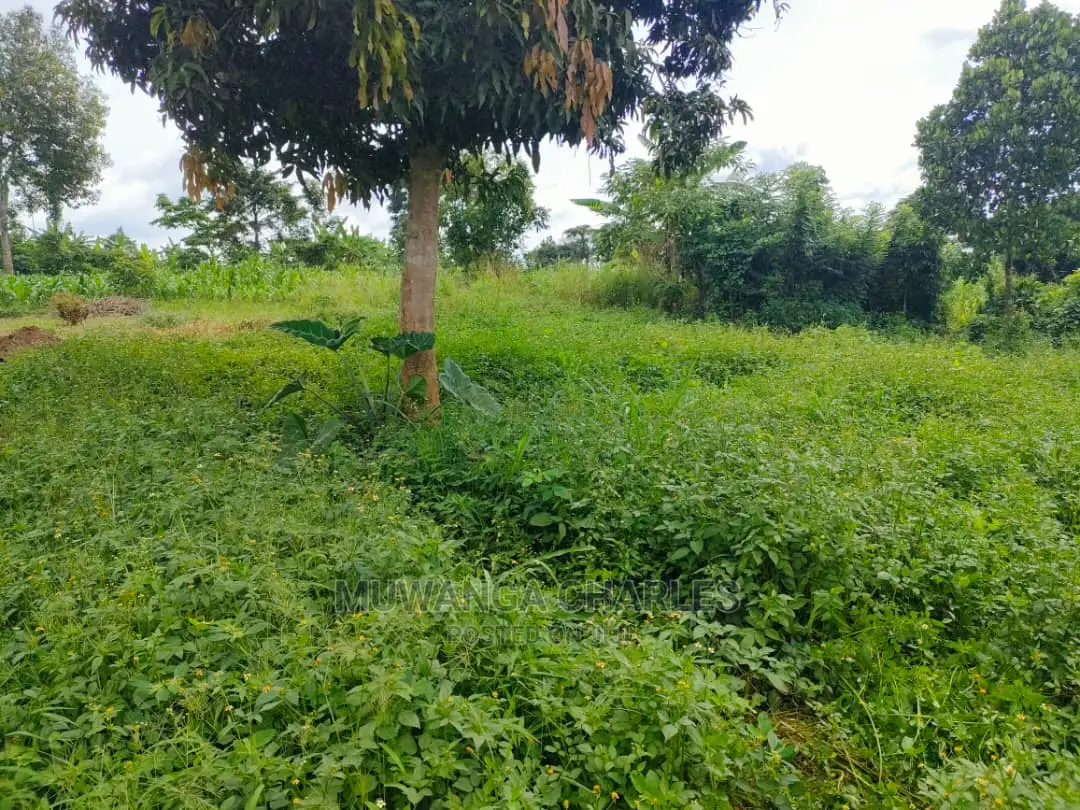 Land for Sale at Zirobwe in Central Division