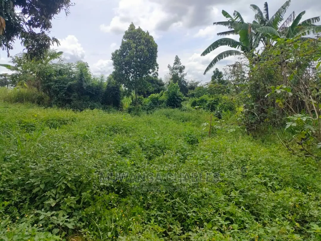 Land for Sale at Zirobwe in Central Division