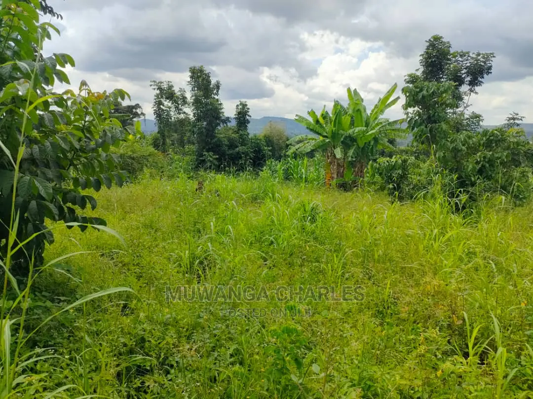 Land for Sale in Zirobwe Tongo in Central Division