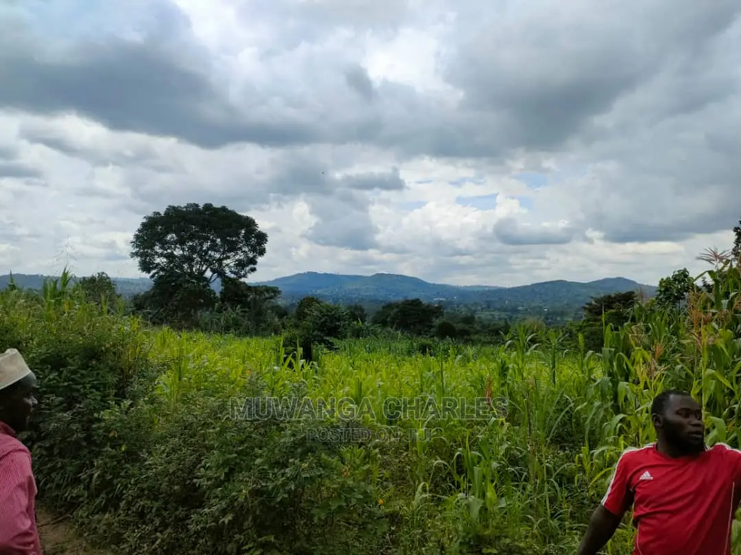 Land for Sale in Zirobwe Tongo in Central Division