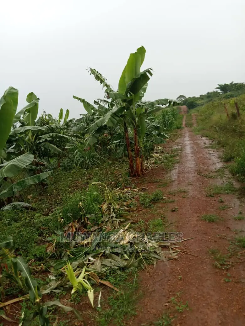 Land for Sale in Zirobwe Wabutungulu in Central Division