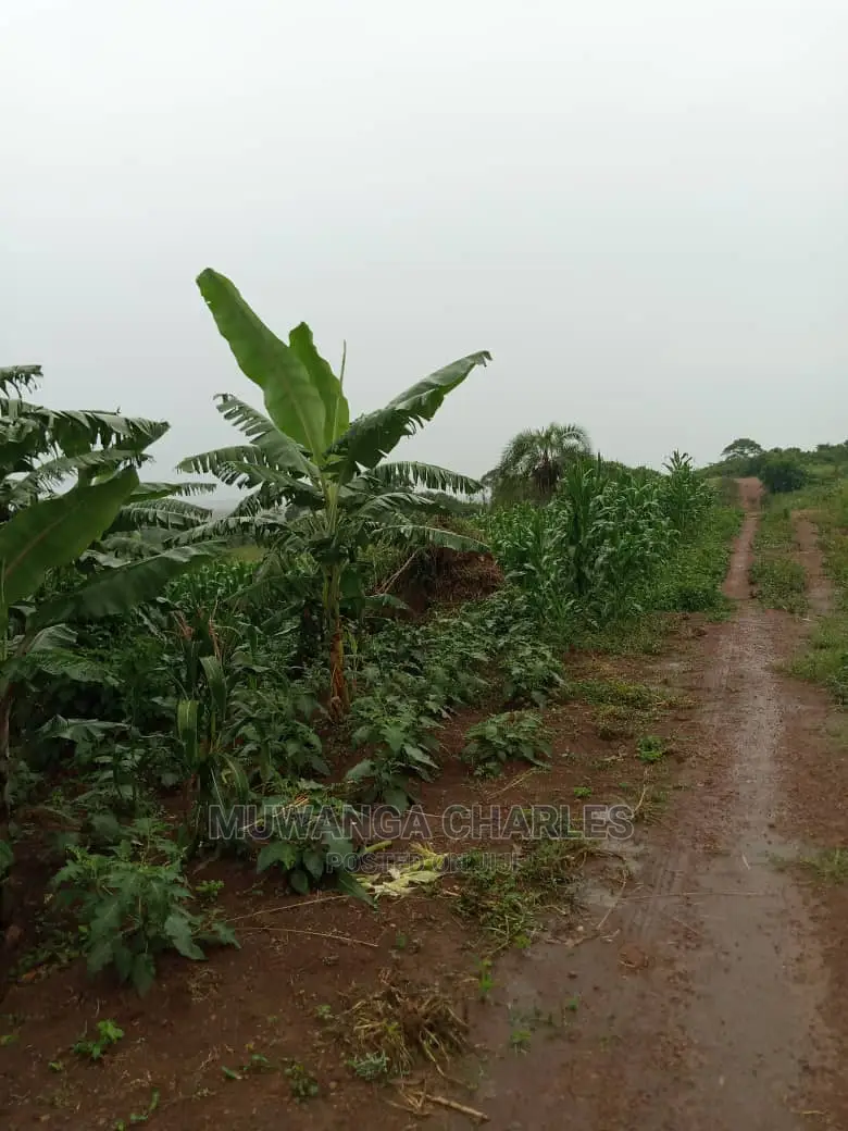 Land for Sale in Zirobwe Wabutungulu in Central Division