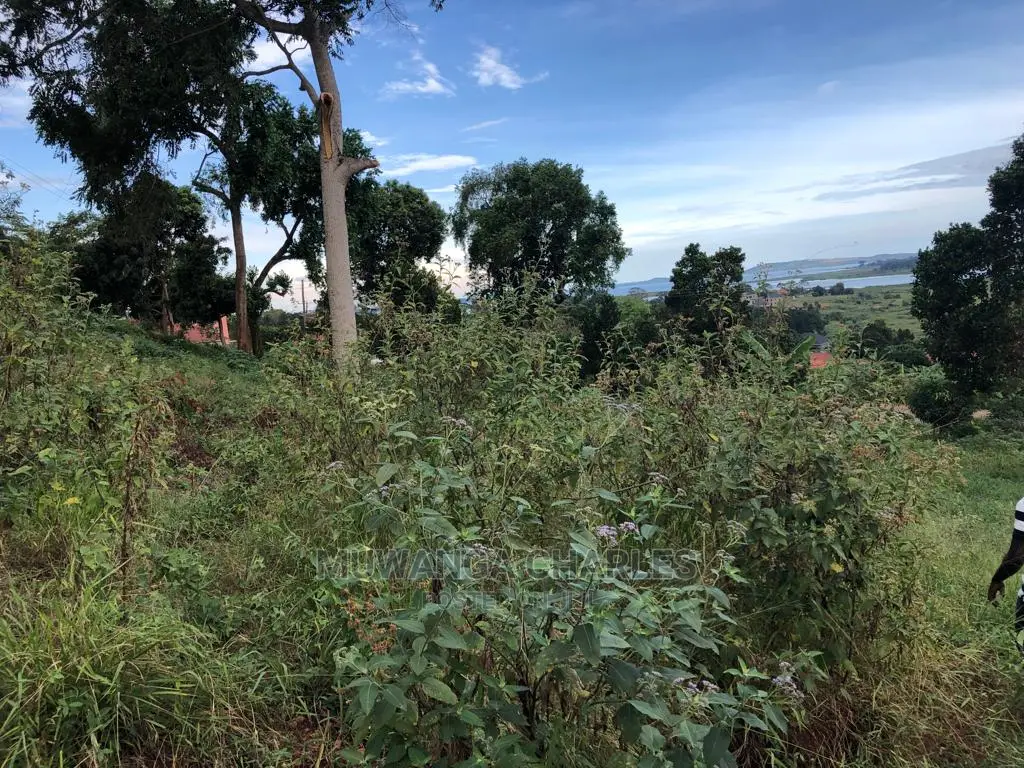 Plot for Sale in Nkumba Entebbe in Central Division
