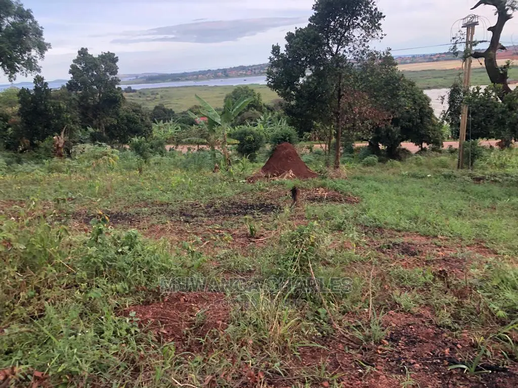Plot for Sale in Nkumba Entebbe in Central Division