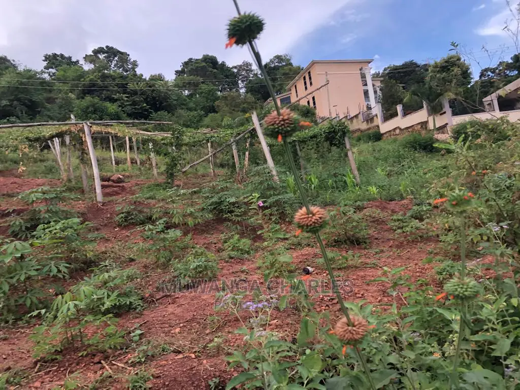 Plot for Sale in Nkumba Entebbe in Central Division
