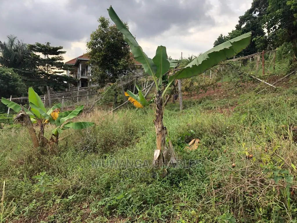 Plot for Sale in Nkumba Entebbe in Central Division