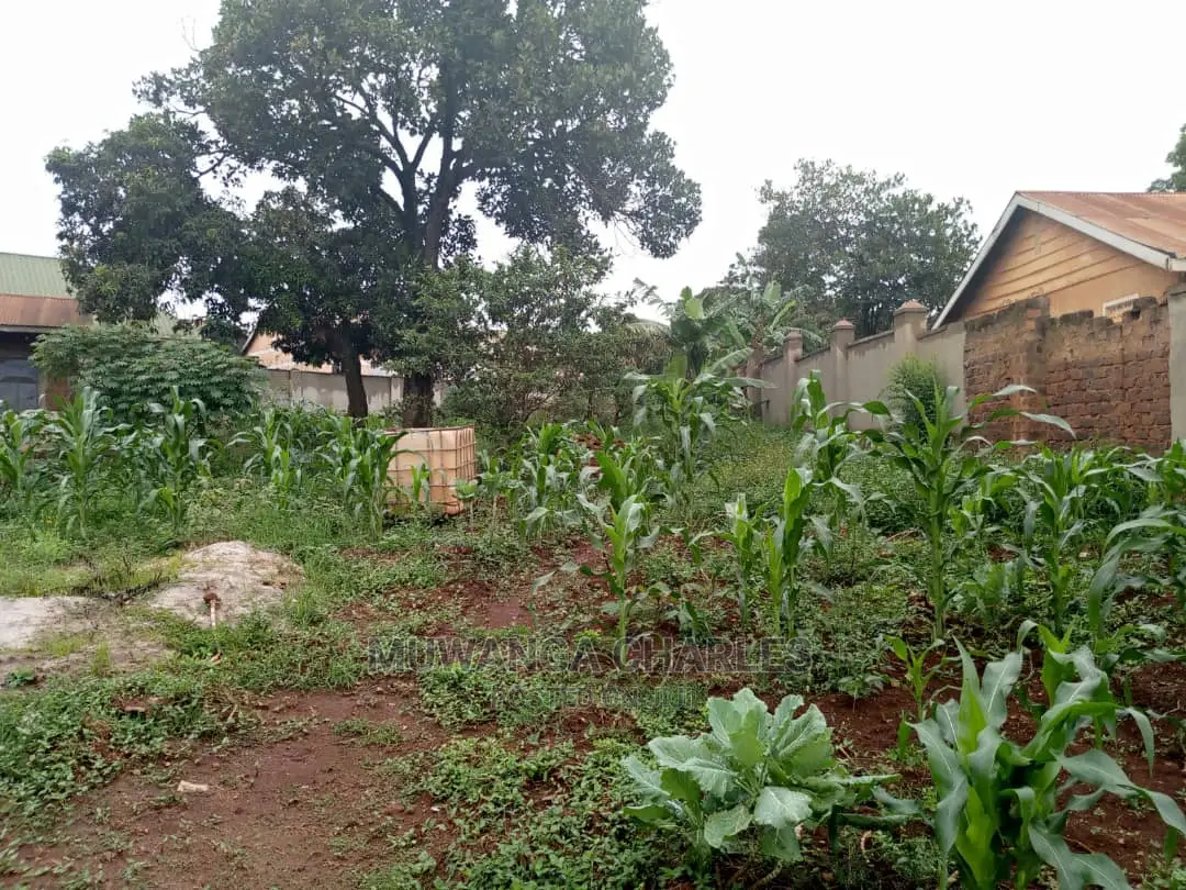 50decimals of Land for Sale in Kungu in Central Division