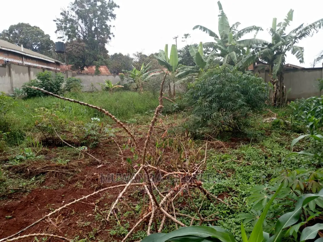 50decimals of Land for Sale in Kungu in Central Division