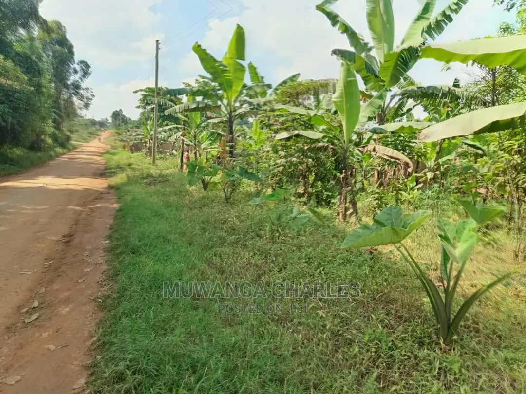 100by50ft Plot for Sale in Gayaza Kabubbu in Central Division