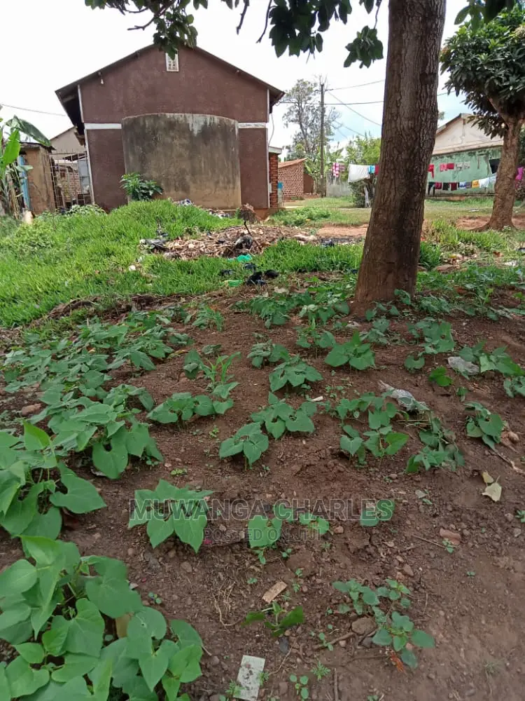 32decimals of Land for Sale in Bukoto in Central Division