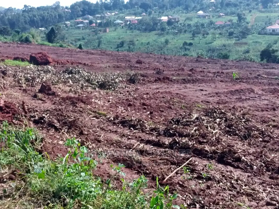 100by50ft Plot for Sale in Busika in Central Division