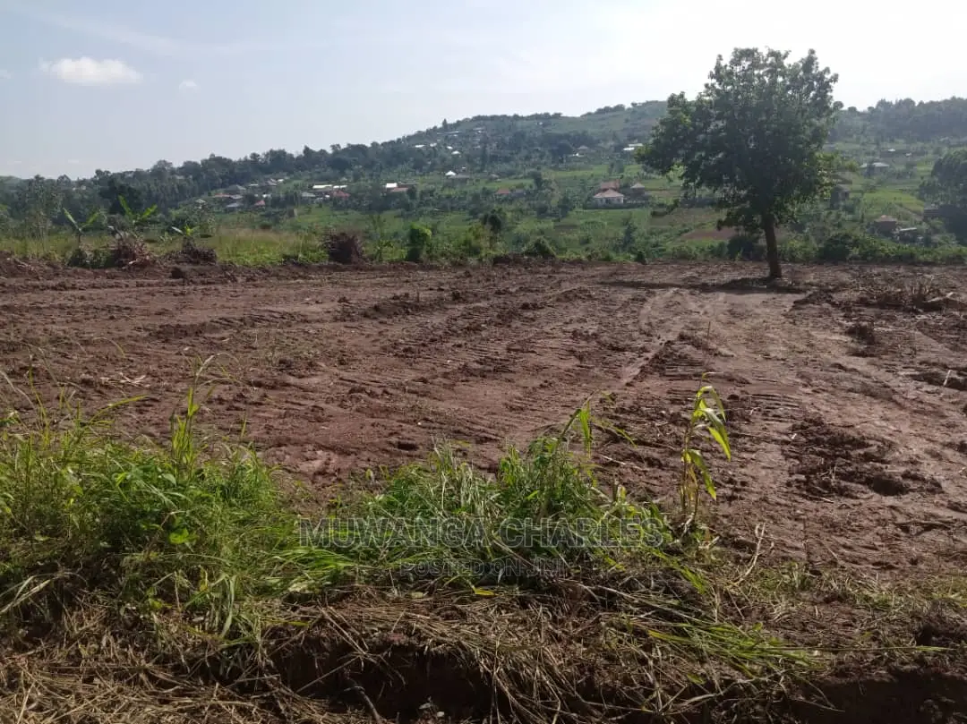 100by50ft Plot for Sale in Busika in Central Division