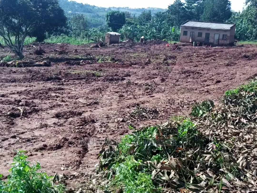 100by50ft Plot for Sale in Busika in Central Division