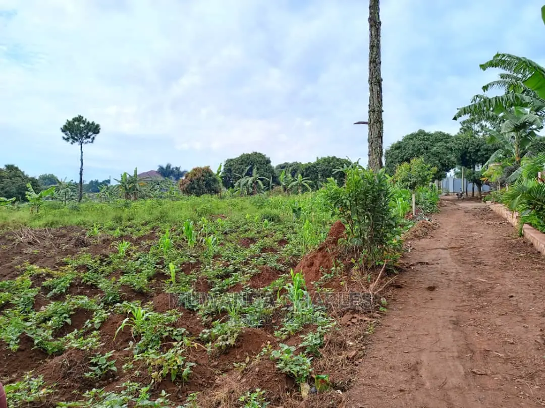 50decimals in Kajjansi Bweya for Sale in Central Division
