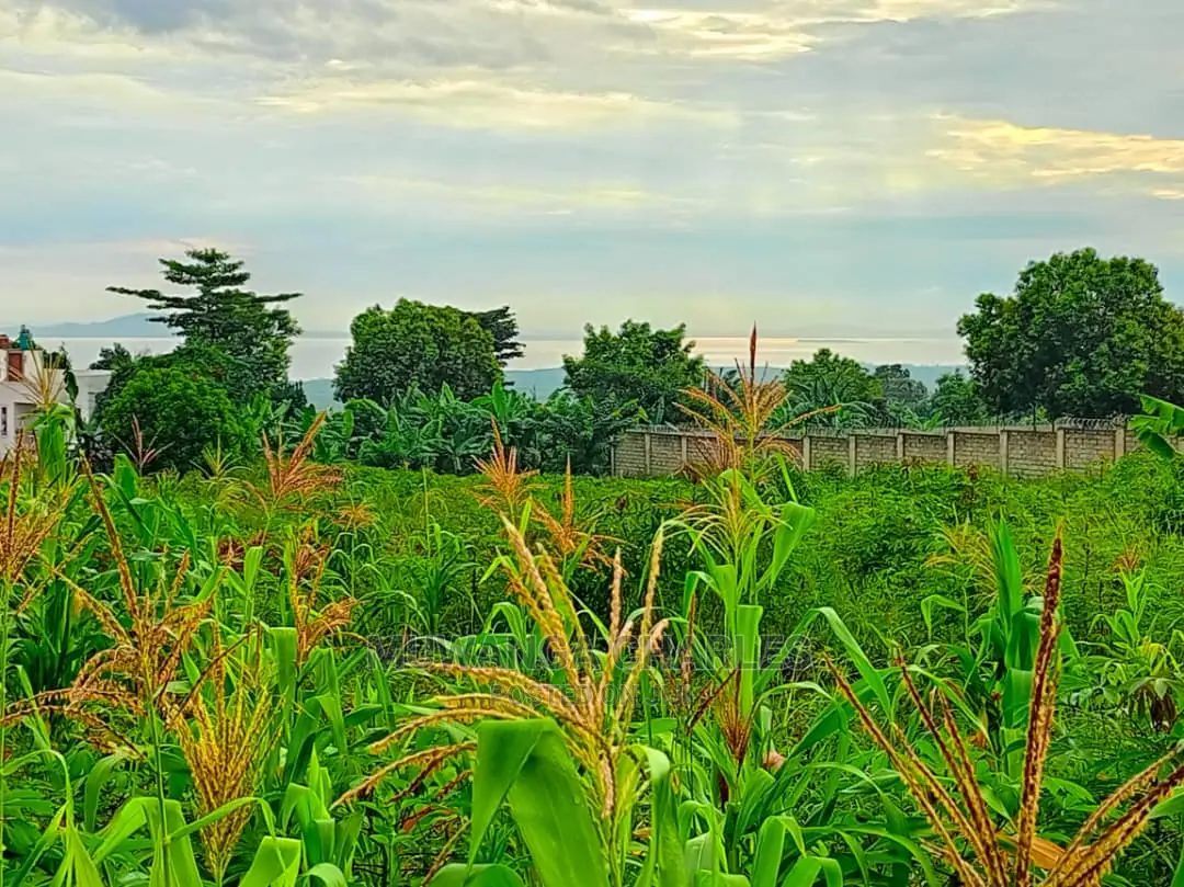 50decimals in Kajjansi Bweya for Sale in Central Division