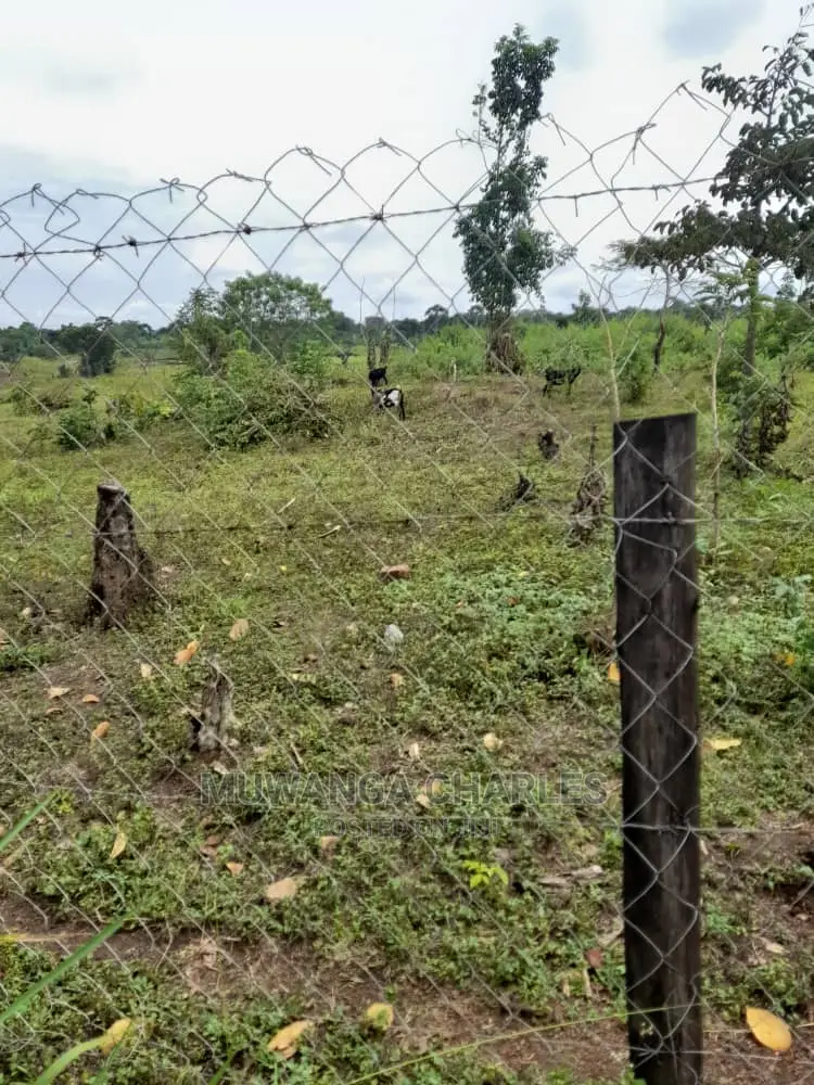 10acres of Land for Sale in Nakasongola in Central Division