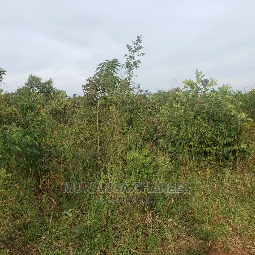 10acres of Land for Sale in Nakasongola in Central Division