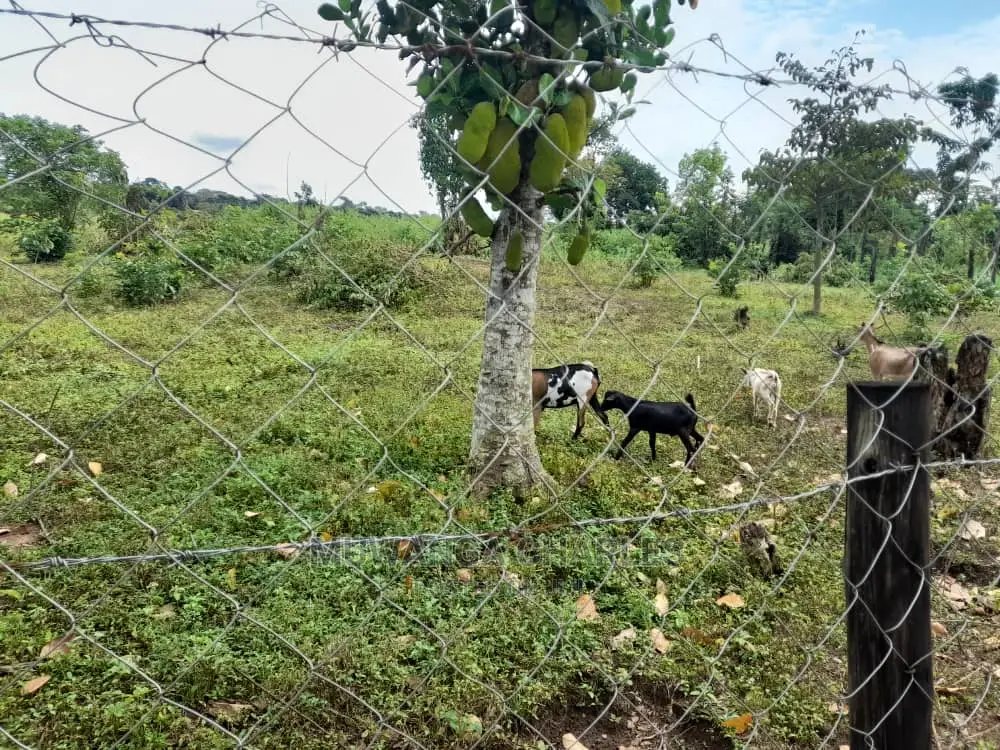 10acres of Land for Sale in Nakasongola in Central Division