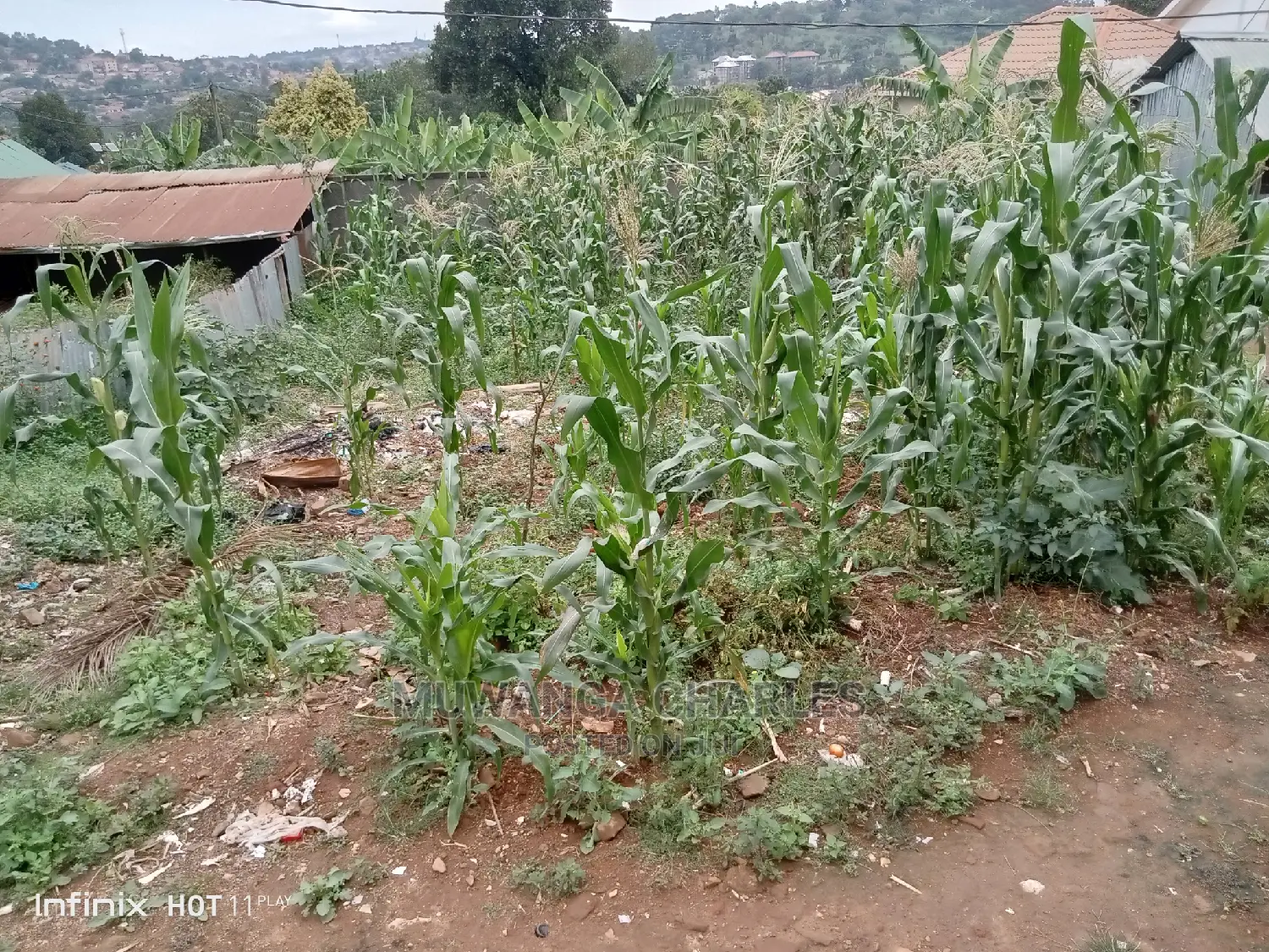 50decimals of Land for in Kyebando in Central Division