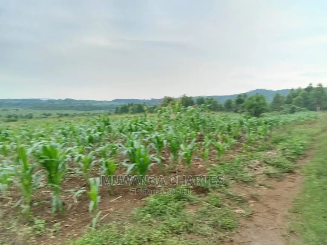 25decimals Plot of Land for Sale in Kira in Central Division