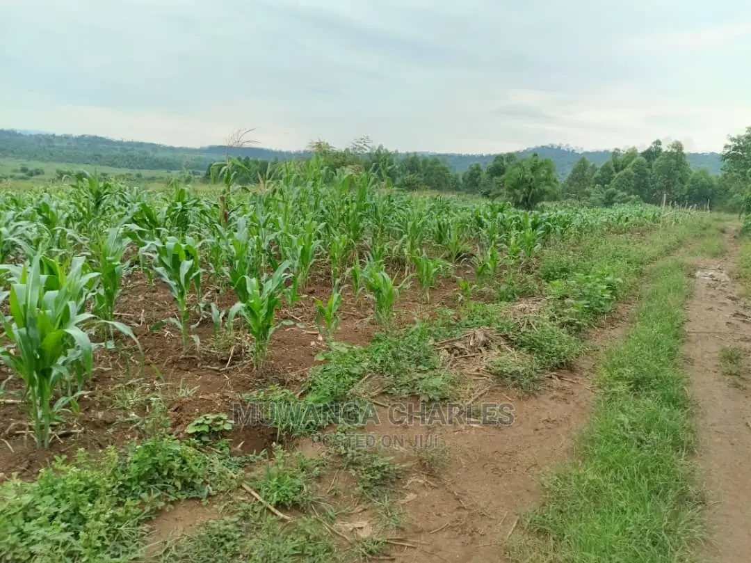 25decimals Plot of Land for Sale in Kira in Central Division