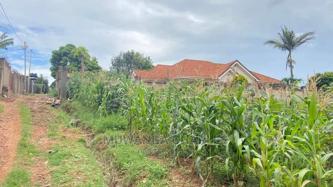 100by100ft Plot for Sale in Buwate in Central Division