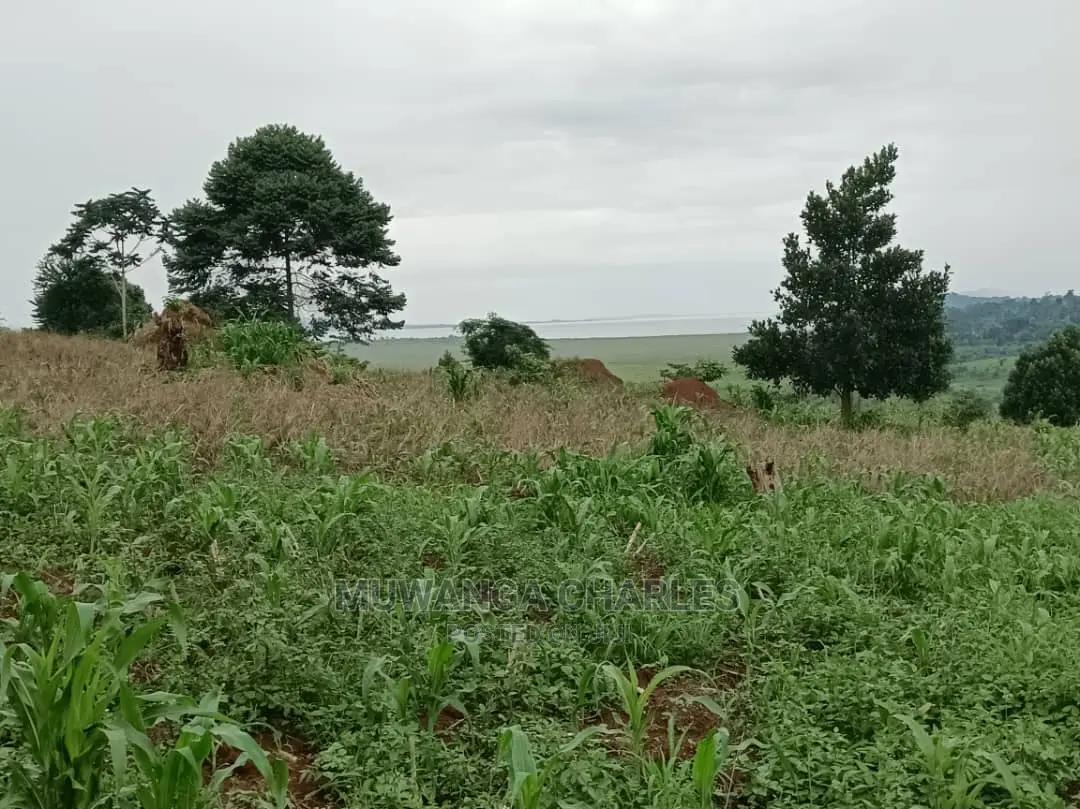 5acres for Sale in Luwero in Central Division