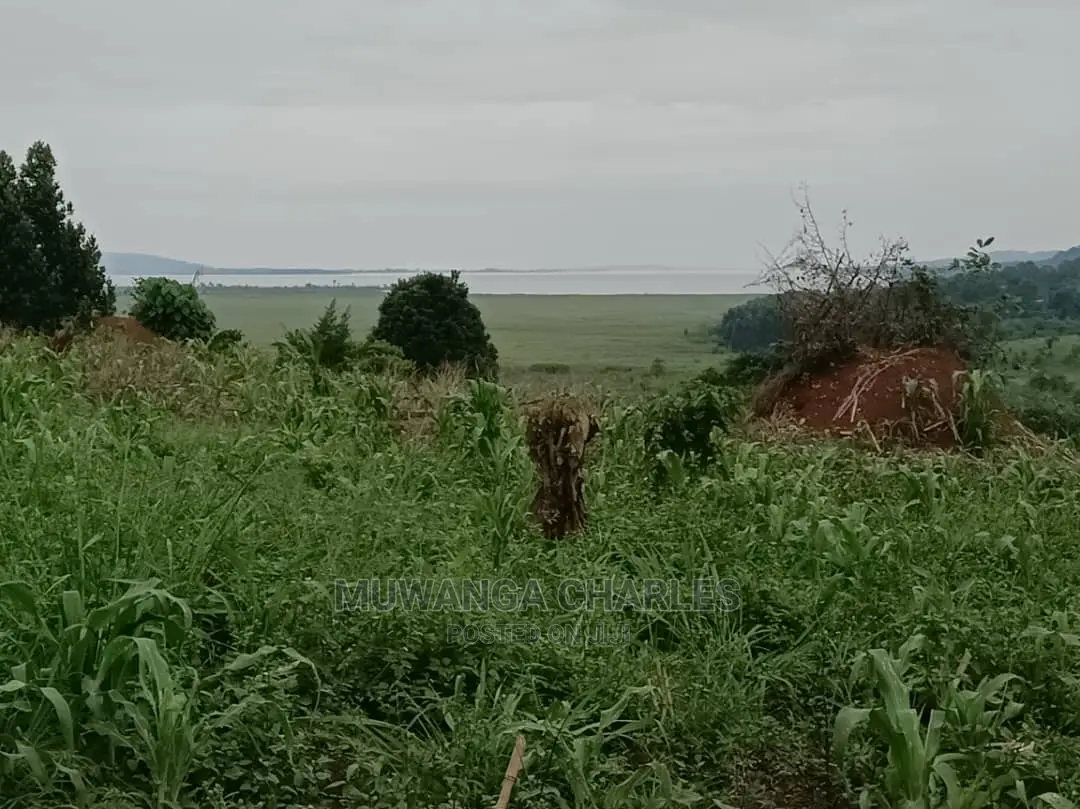 5acres for Sale in Luwero in Central Division