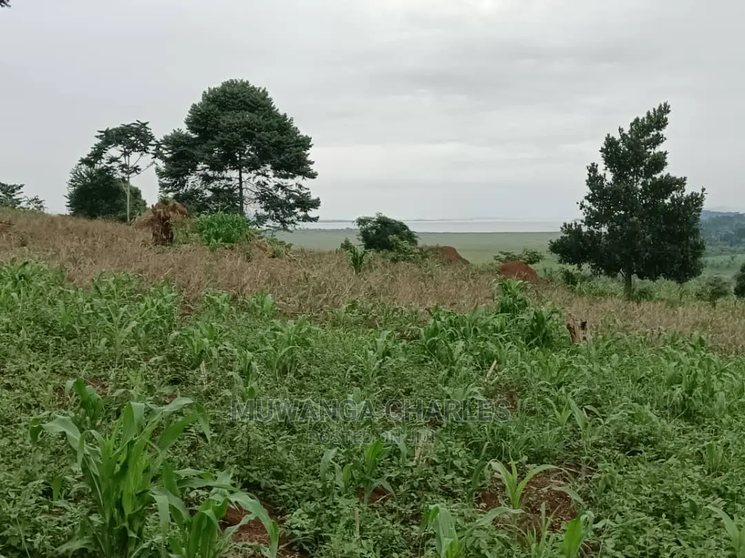 5acres for Sale in Luwero in Central Division