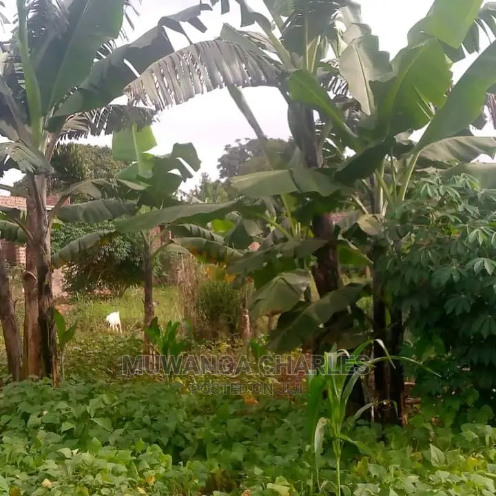 10acres of Land for Sale in Kiwawu in Central Division