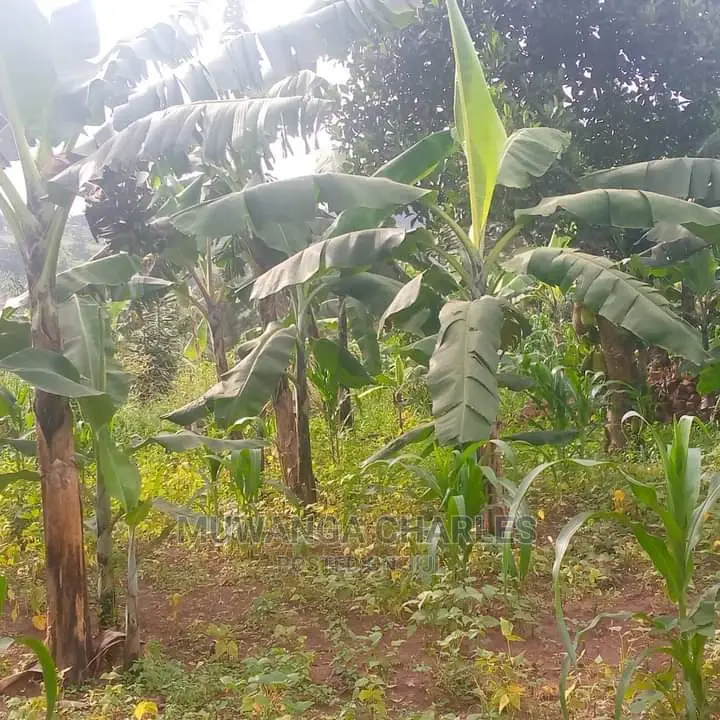 10acres of Land for Sale in Kiwawu in Central Division