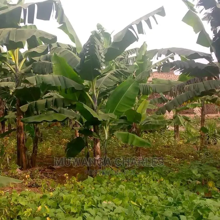 10acres of Land for Sale in Kiwawu in Central Division