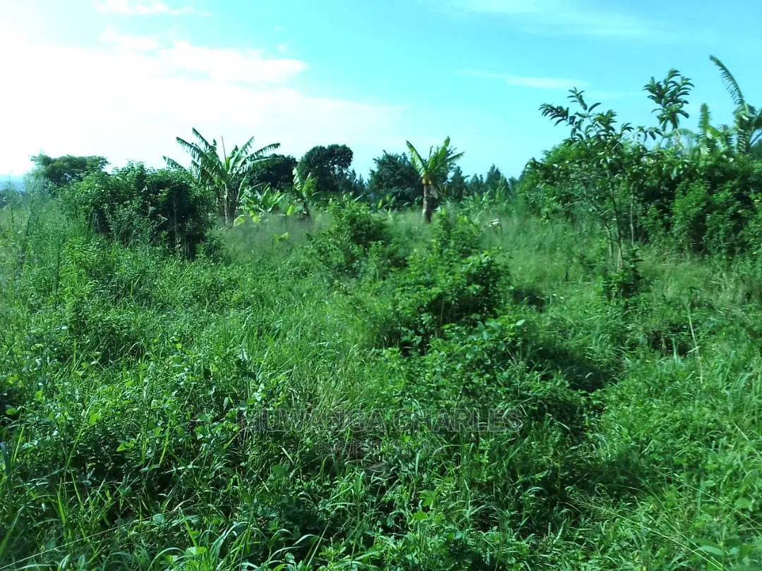 5acres of Land for Sale in Zirobwe Nawoja in Central Division
