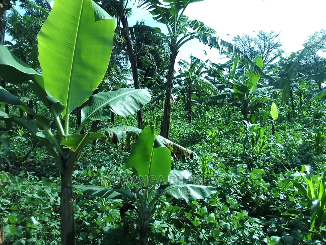 5acres of Land for Sale in Zirobwe Nawoja in Central Division