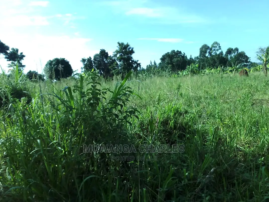 5acres of Land for Sale in Zirobwe Nawoja in Central Division