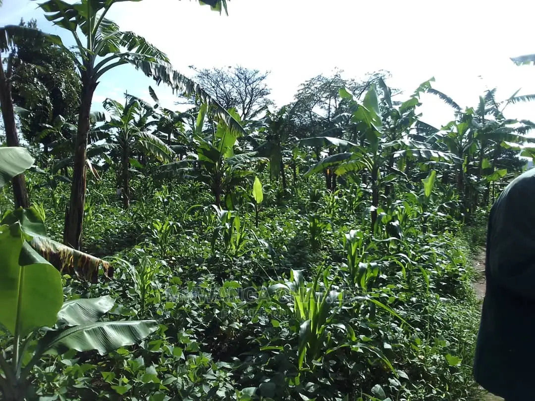 5acres of Land for Sale in Zirobwe Nawoja in Central Division