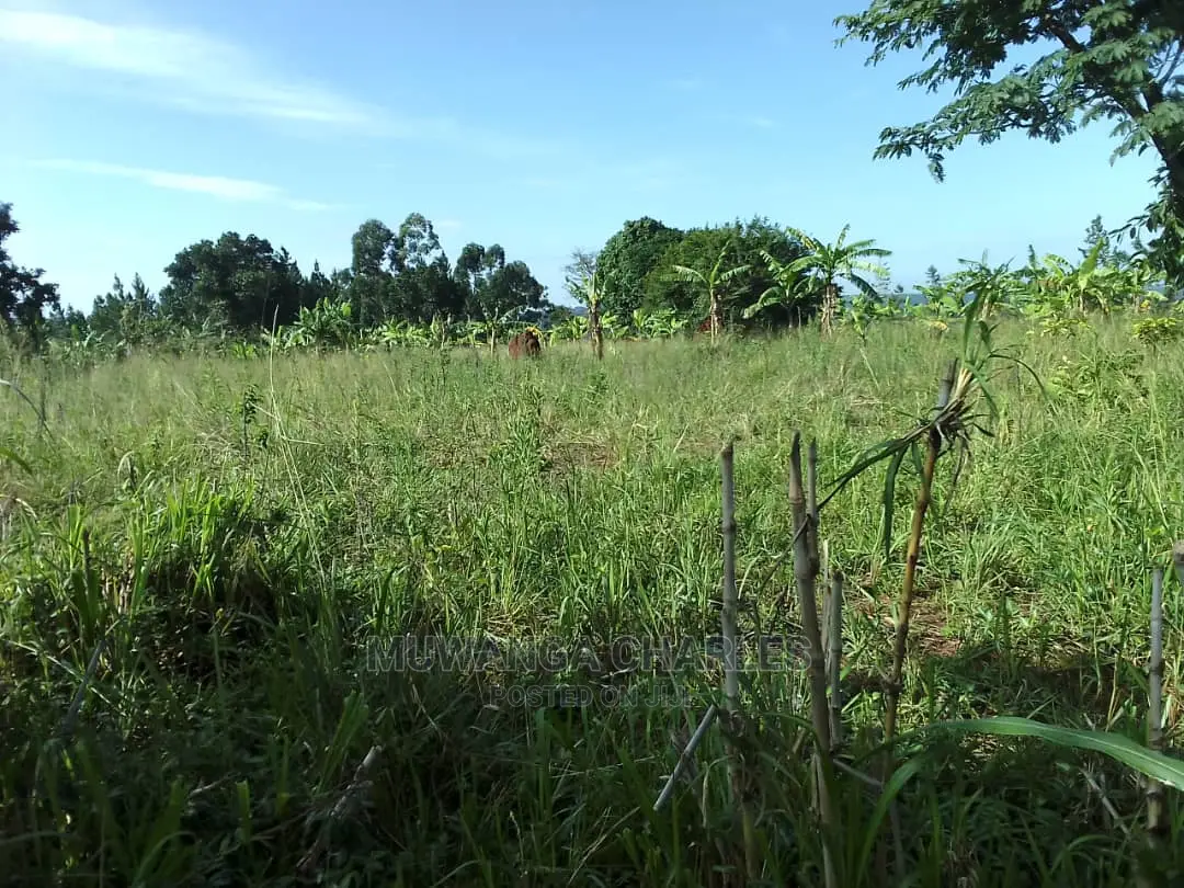 5acres of Land for Sale in Zirobwe Nawoja in Central Division