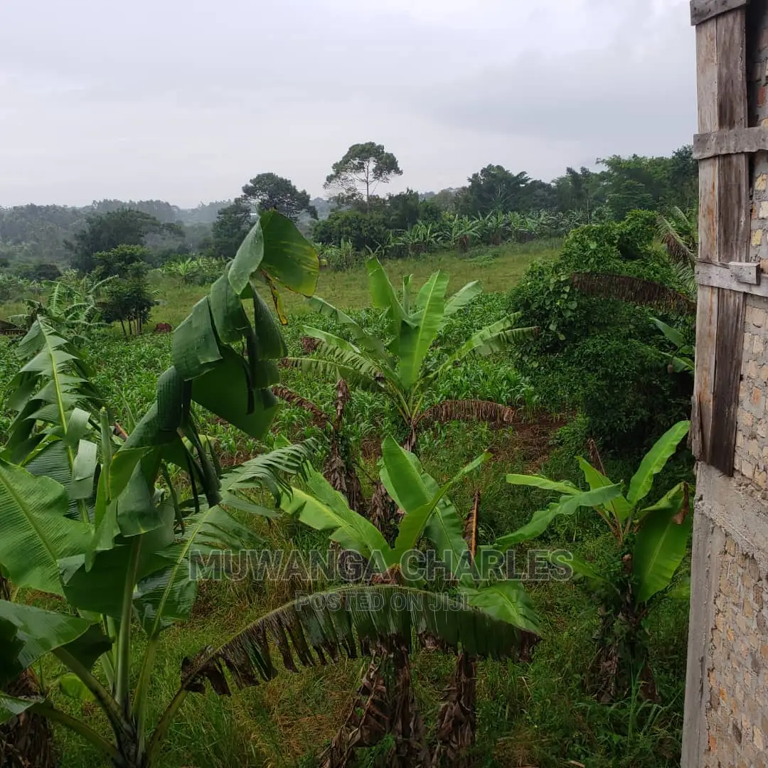 4acres of Land for Sale in Luwero in Central Division