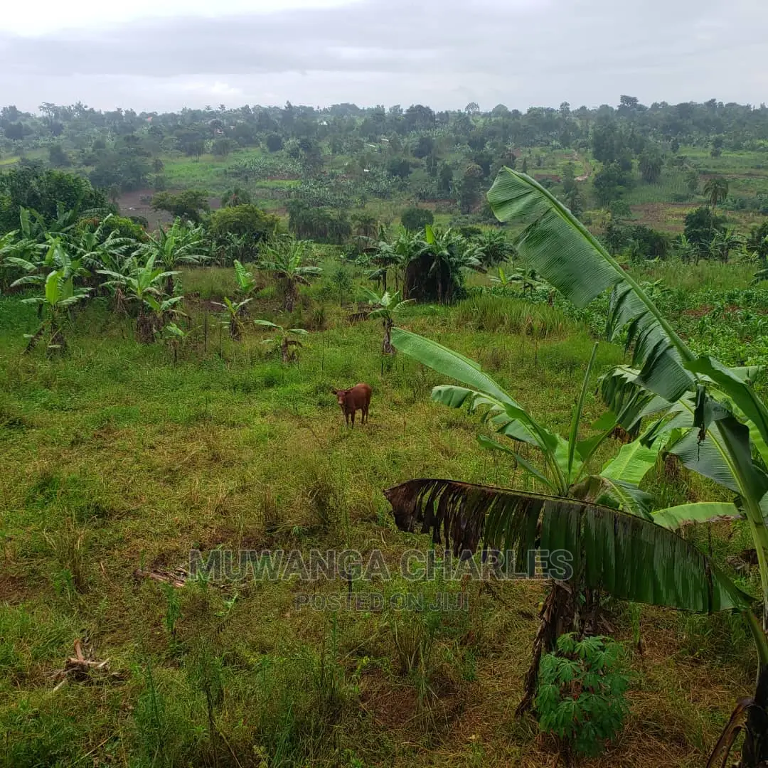 4acres of Land for Sale in Luwero in Central Division