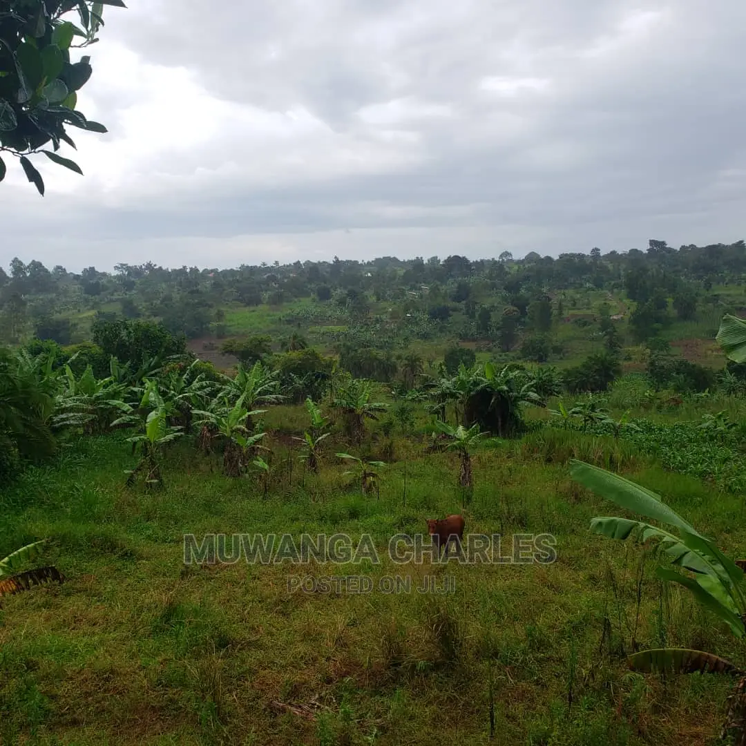4acres of Land for Sale in Luwero in Central Division