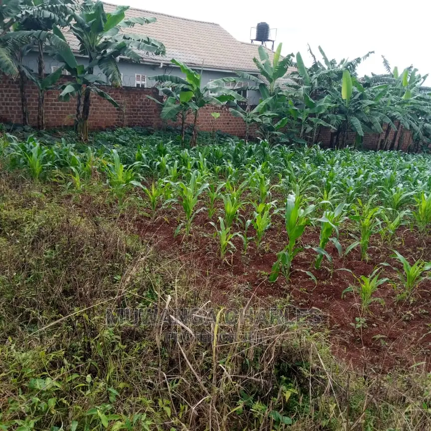 30decimals of Land for Sale in Kyanja Kungu in Central Division