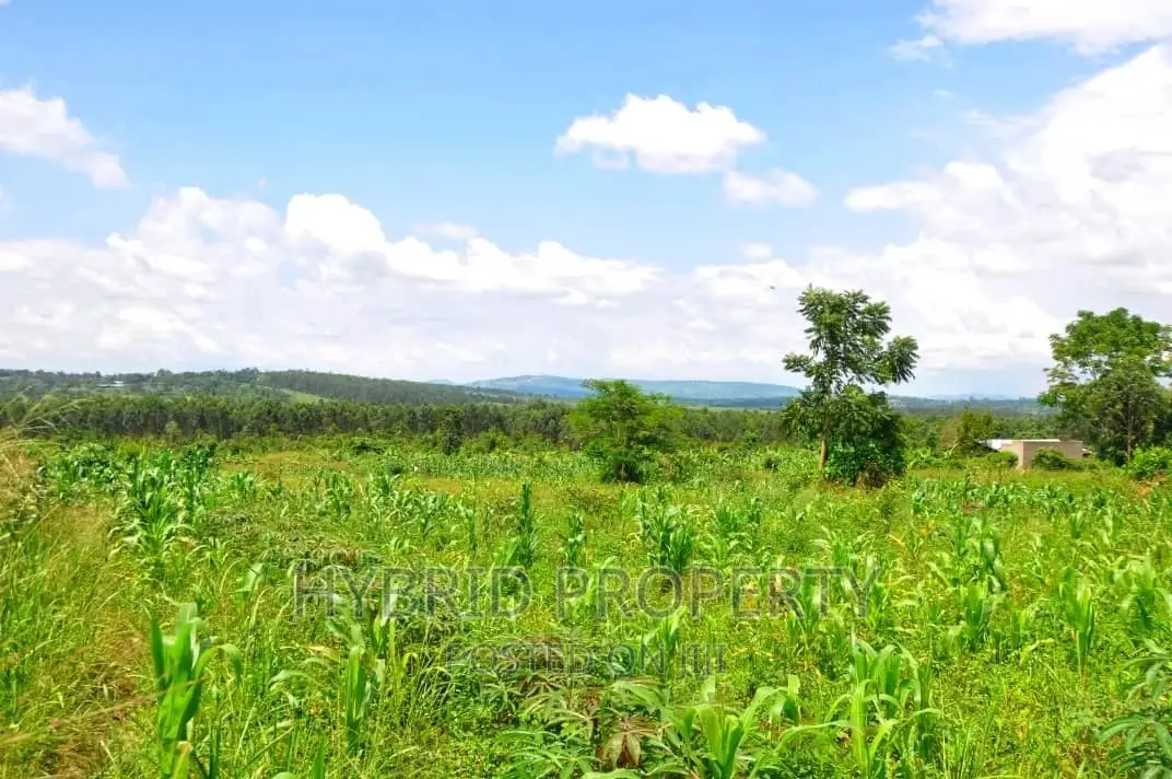 35+ Acres of Land for Sale at Namayumba Estate~Hoima Road. in Namayumba