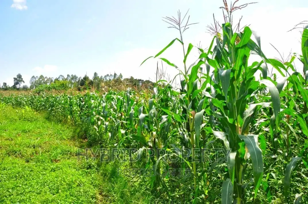 35+ Acres of Land for Sale at Namayumba Estate~Hoima Road. in Namayumba