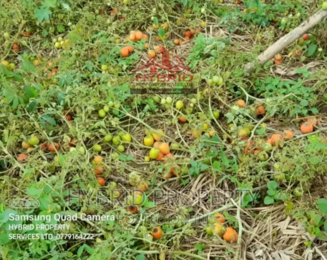 35acres of Land for Sale at Namayumba Kaloke~Hoima Road. in Namayumba
