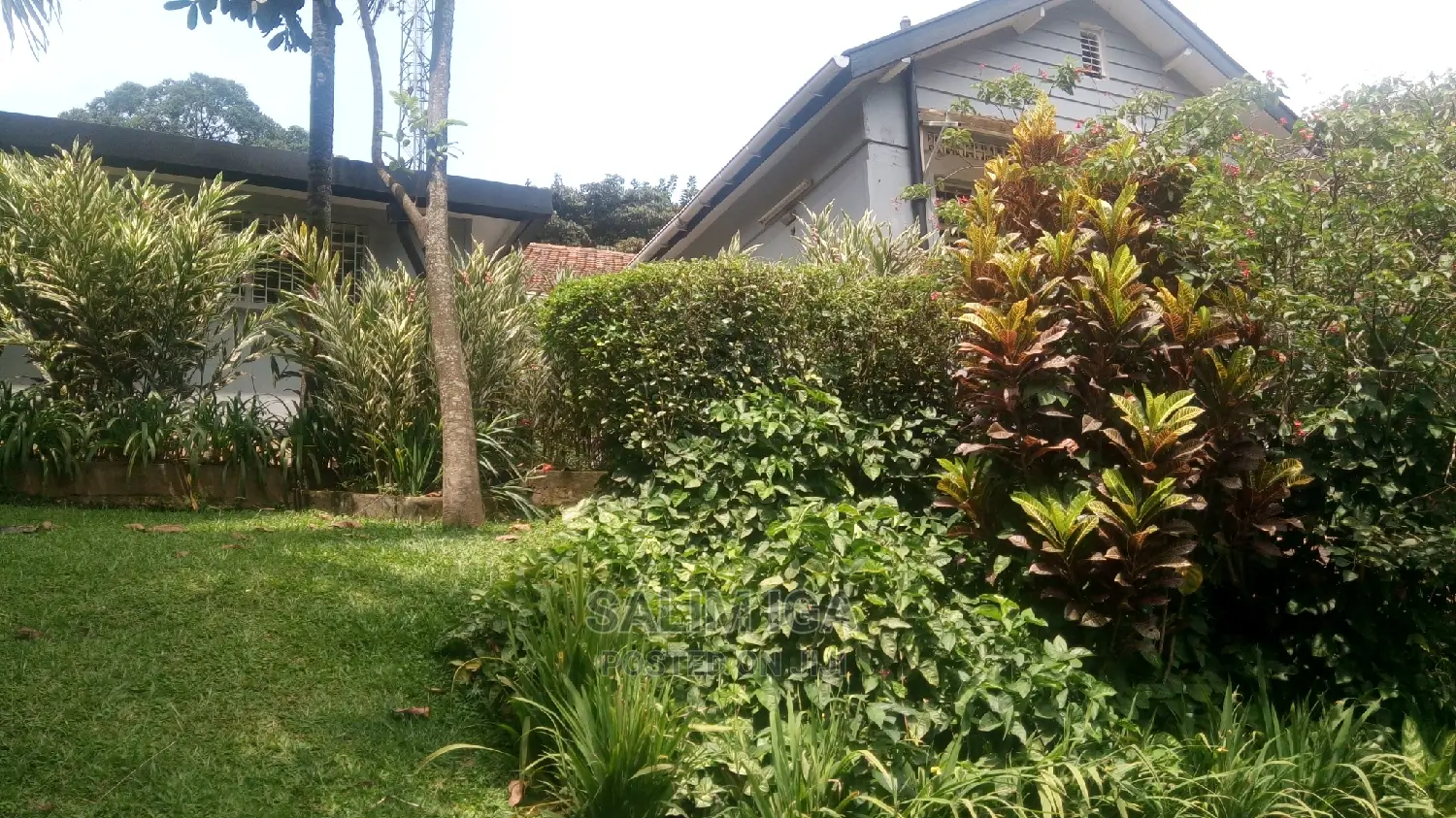 4bdrm Bungalow in Kololo Property, Central Division for Rent in Central Division