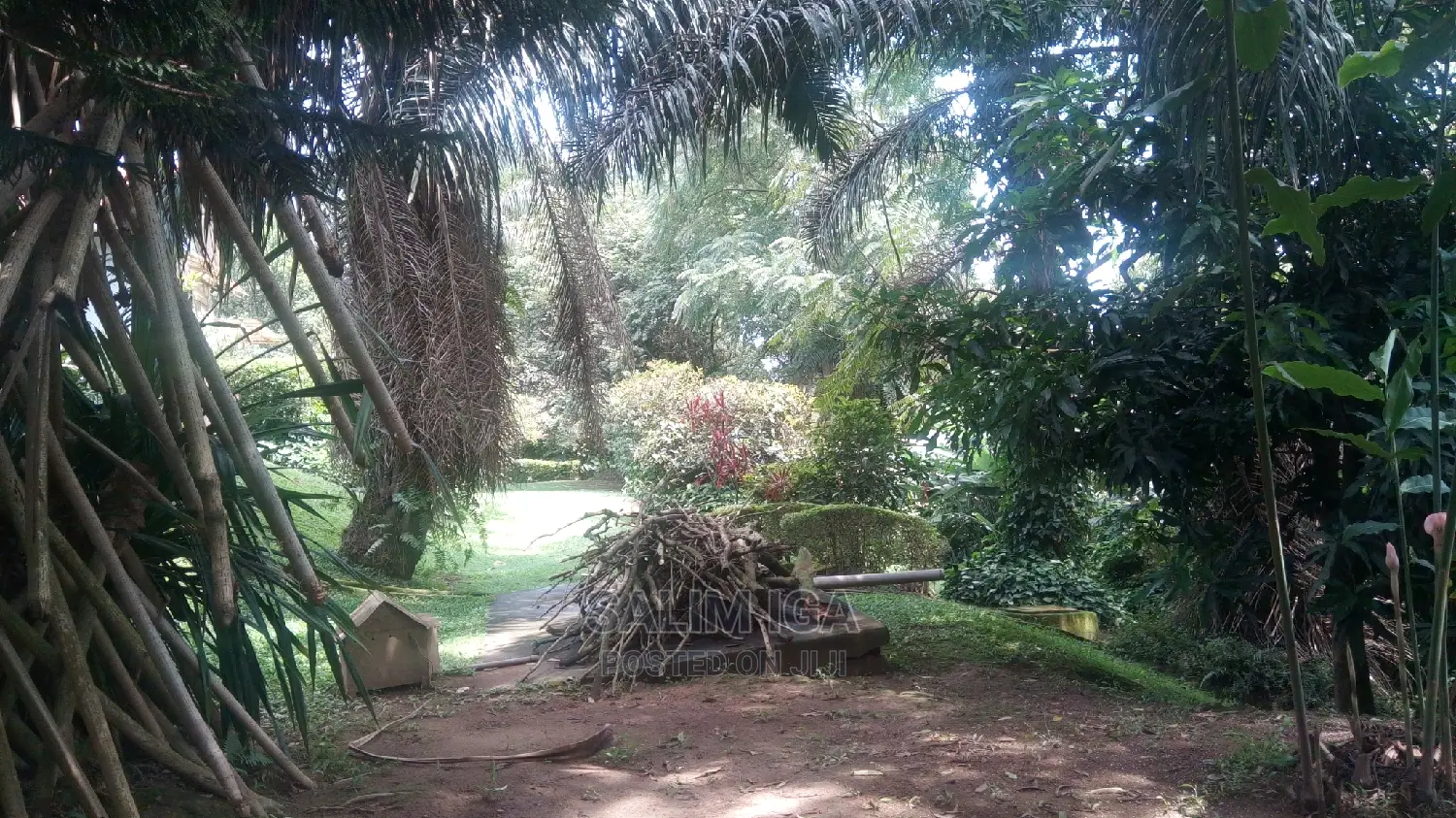 4bdrm Bungalow in Kololo Property, Central Division for Rent in Central Division