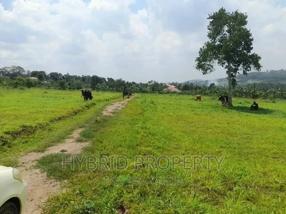 Prime Plots for Sale at Kakiri~Mpeggwe Land Estate~Hoima Rd. in Wakiso / Wakiso