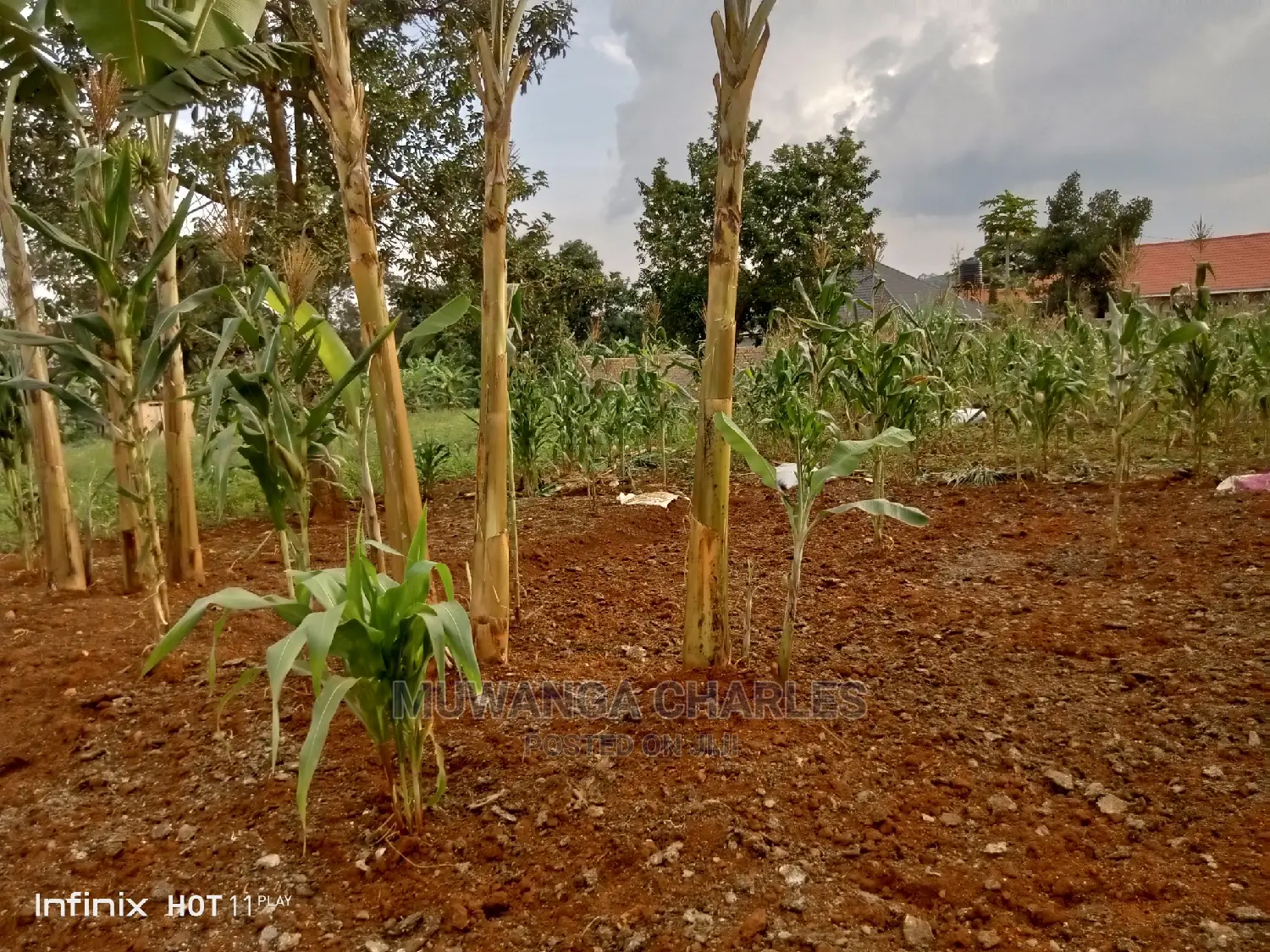 20decimals Plot of Land for Sale in Kungu in Central Division