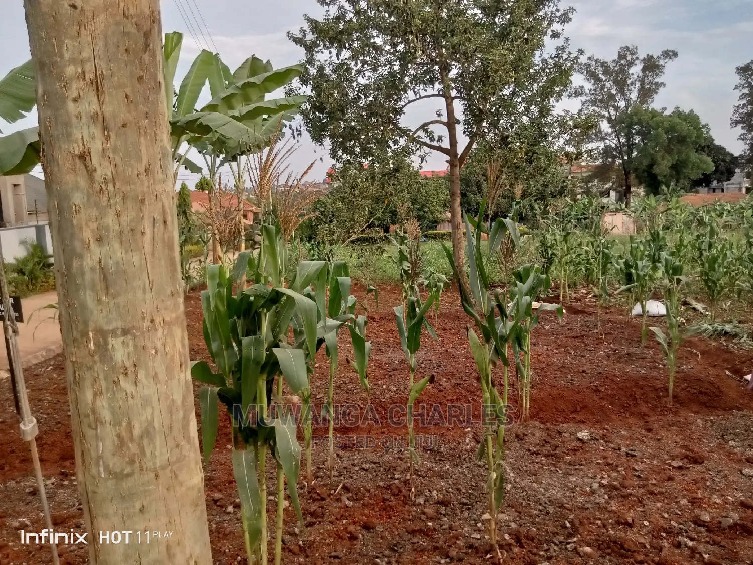 20decimals Plot of Land for Sale in Kungu in Central Division